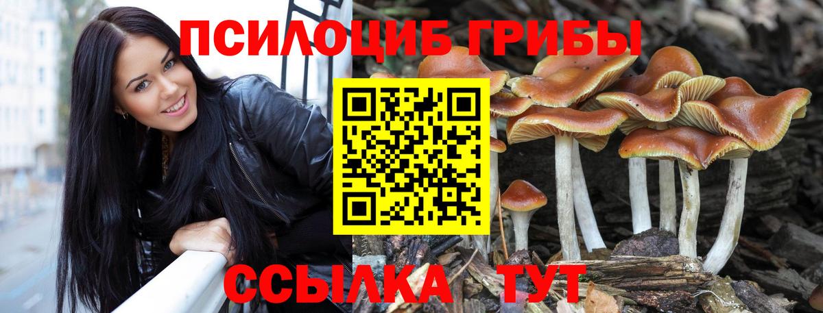 Псилоцибиновые грибы прущие грибы Краснодар